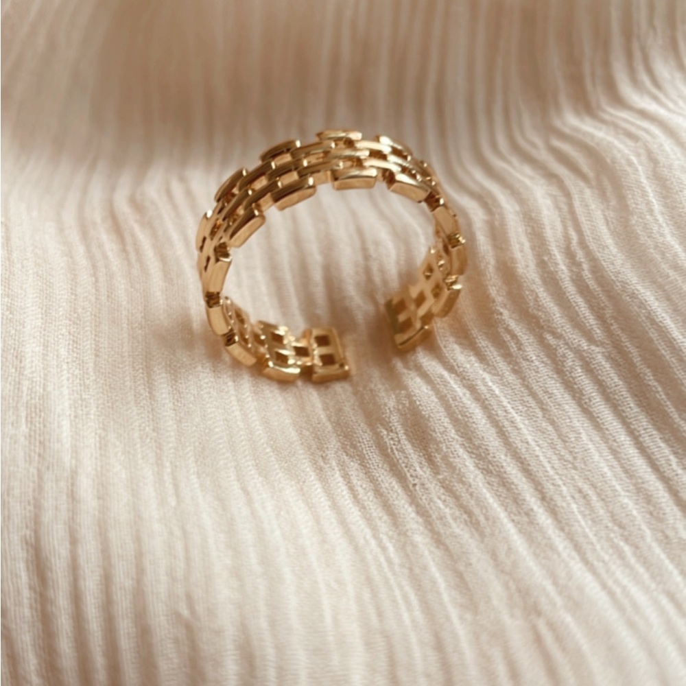 Le Chain Ring - image 3